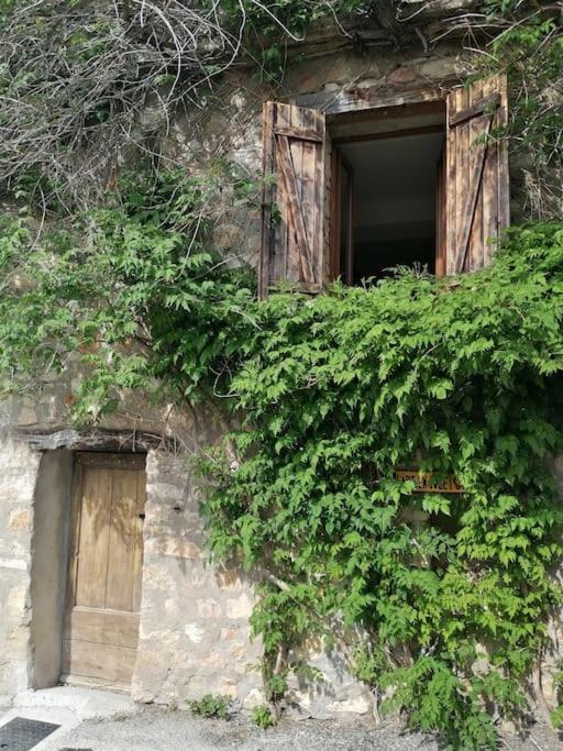 La Maison De La Vigne Apartamento
