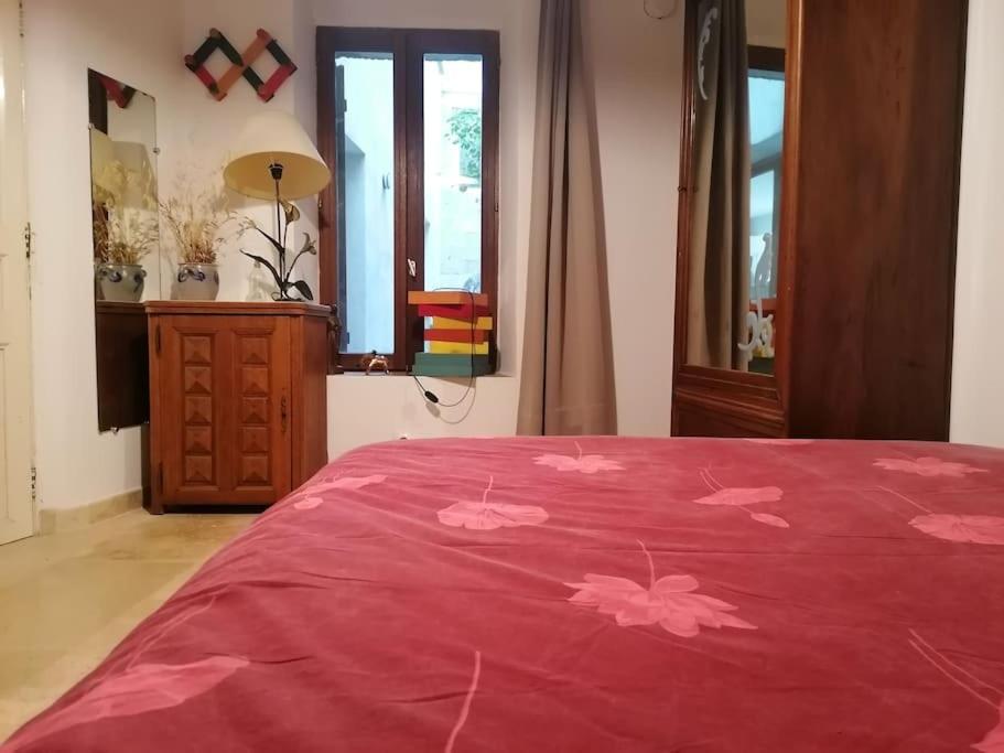 La Maison De La Vigne Apartment *